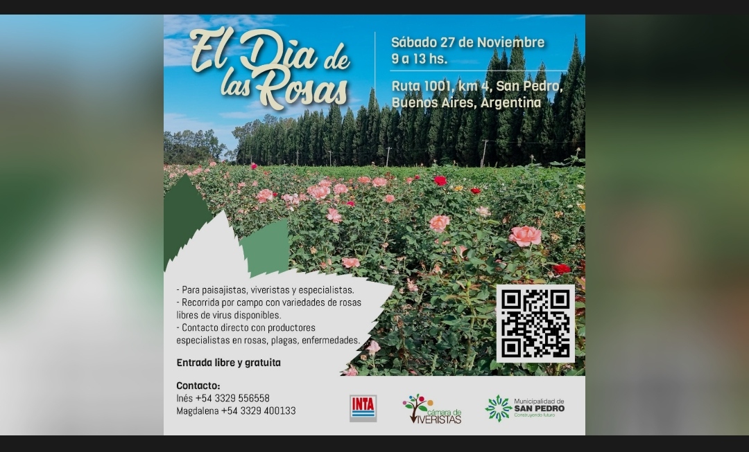 El 27 de noviembre se hará «El Día de las Rosas» Canalweb San Pedro