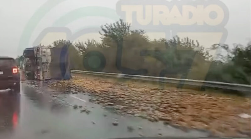Camio Vuelco Ruta 9