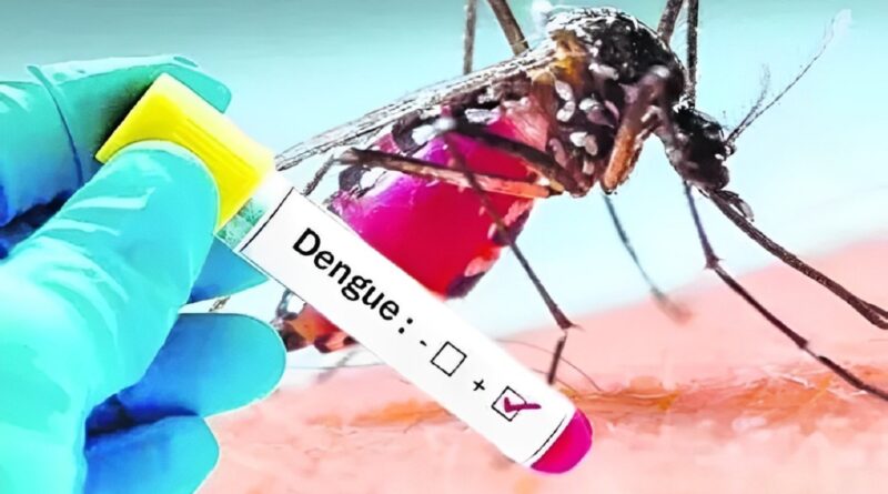 Dengue Positivo
