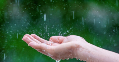 Close Up Of Wet Female Hands In Rain