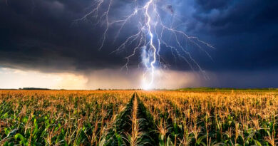 Alerta amarilla por tormentas para este miércoles en San Pedro, San Nicolás y Ramallo