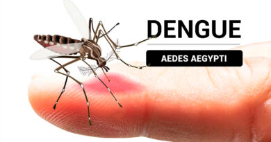 Baradero: confirman dos casos de dengue