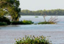 Advierten que el fenómeno El Niño podría provocar una suba del río Paraná en los próximos meses