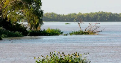 El río Paraná sigue creciendo y crece la atención sobre su evolución El río Paraná sigue creciendo y crece la atención sobre su evolución