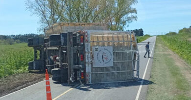 Un camión que transportaba pollos, volcó en la Ruta 191