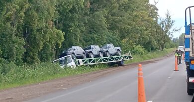 Un camión que transportaba vehículos Jeep 0 km se despistó en la Ruta 1001