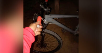 Tras el robo una bicicleta, era ofrecida en redes sociales: la familia de la víctima pide ayuda para recuperarla