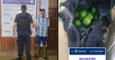 Aprehenden a un hombre por sustraer cítricos de una finca