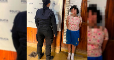 Detuvieron a una mujer tras un episodio de violencia contra su pareja y agresión a la policía