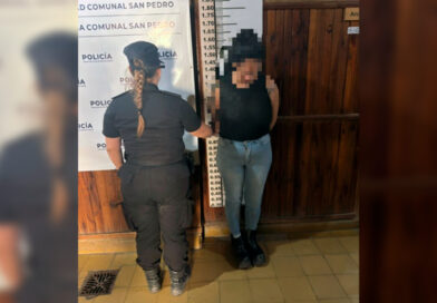 Aprehenden a una mujer por disturbios en la vía pública