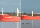 Ramallo: un barco fuera de control chocó contra la costa en el río Paraná