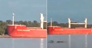 Ramallo: un barco fuera de control chocó contra la costa en el río Paraná