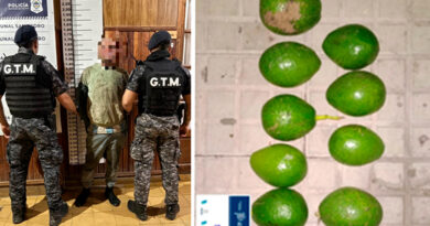 Detienen a un hombre por robar paltas tras ingresar a una vivienda