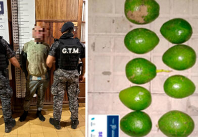 Detienen a un hombre por robar paltas tras ingresar a una vivienda