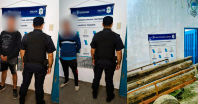 Dos aprehendidos en La Tosquera por trasladar palos de quebracho robados