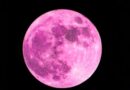 La luna rosa podrá observarse este miércoles en San Pedro