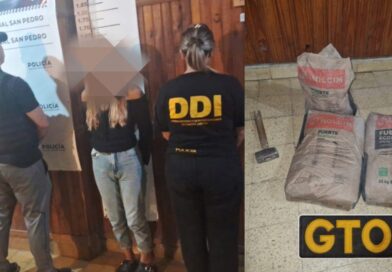 Allanamiento por robo permitió recuperar elementos de construcción sustraídos y aprehendieronr a una mujer