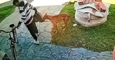 Villa Lolita: quedó filmado el robo de una bicicleta frente a una vivienda