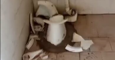 Robo y destrozos en el club de futbol infantil San Roque