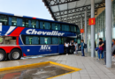 Nación elimina subsidios a pasajes gratuitos para personas con discapacidad en colectivos de larga distancia