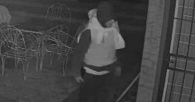 Delincuente robó la batería de un auto en una vivienda de Nieto de Torres al 900 y quedó filmado
