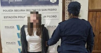 Detuvieron a una joven tras ingresar al patio de la casa de su ex pareja
