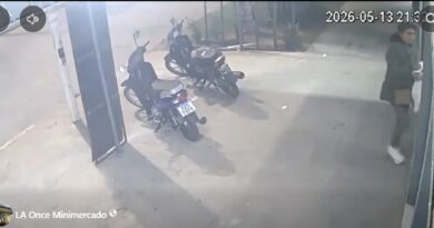 Alertan por un nuevo robo en un comercio y difundieron la imagen de una sospechosa