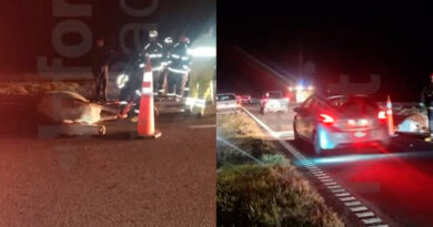 Camionetas impactaron contra dos equinos en ruta 9 y uno de ellos murió