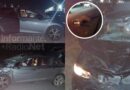 San Nicolás: Dos personas resultaron heridas tras chocar contra un caballo en Ruta 9
