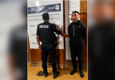 Detuvieron a un hombre que robó el celular a una joven en la vía pública