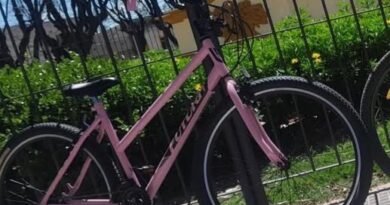 Difunden la imagen de una bicicleta robada