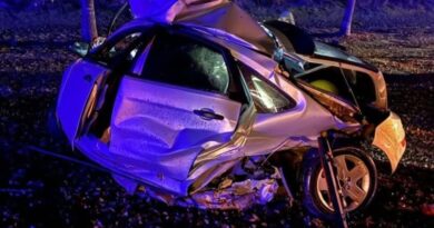 Trágico accidente en Villa Ramallo: dos fallecidos al impactar un auto contra un árbol