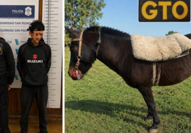 Esclarecen un hurto, recuperan un caballo y aprehenden al autor del hecho