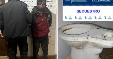 Intentó robar un inodoro tras escalar un balcón y fue detenido