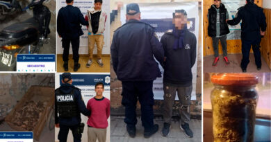 Operativos de prevención: detenciones por robo de batatas, marihuana y un hombre con pedidos de captura