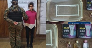 Intentó sustraer mercadería de un bazar y fue aprehendida