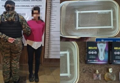 Intentó sustraer mercadería de un bazar y fue aprehendida