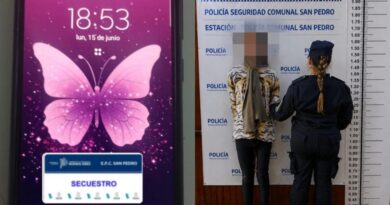 Aprehenden a una mujer por intentar sustraer un celular en el Hospital