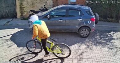 Difunden imágenes del robo de una bicicleta y piden ayuda para identificar al autor