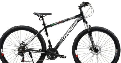 Buscan una bicicleta robada que una estudiante utilizaba para asistir a la escuela