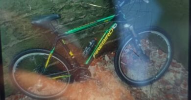Denuncian el robo de una bicicleta en la zona de Manuel Iglesias al 1500