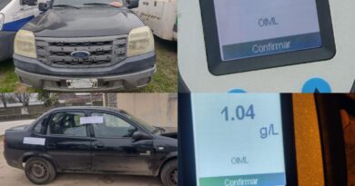 Secuestraron dos vehículos por alcoholemia positiva y retiraron caballos sueltos de la vía pública
