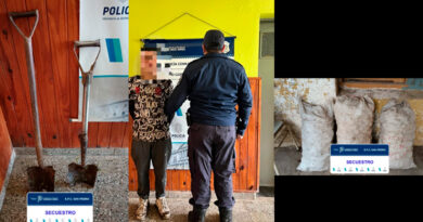 Detuvieron a un joven mientras robaba bolsas de papas en Gobernador Castro