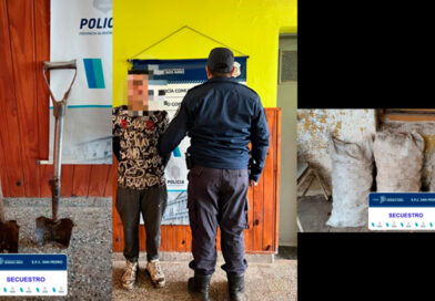 Detuvieron a un joven mientras robaba bolsas de papas en Gobernador Castro