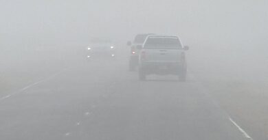 Emiten un aviso meteorológico por nieblas para esta noche y la mañana del domingo