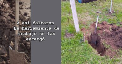Robaron herramientas de trabajo del interior de una vivienda