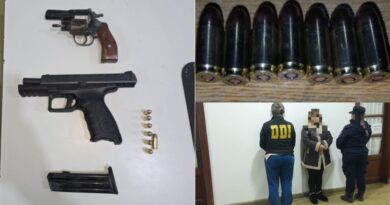 Arrestan a una mujer y secuestran dos armas de fuego durante un allanamiento