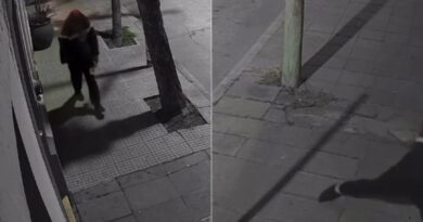 Intentó ingresar a una vivienda y luego probó abrir un auto: quedó registrado por una cámara de seguridad