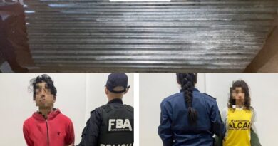Detuvieron a una pareja por el robo de una chapa galvanizada