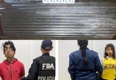 Detuvieron a una pareja por el robo de una chapa galvanizada